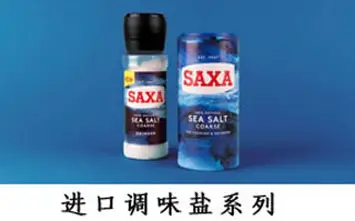 进口调味盐