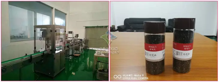 炒熟芝麻免费火烧云加速器